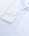 Crocodile Premium Formal Shirt