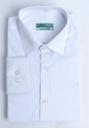 Crocodile Premium Formal Shirt